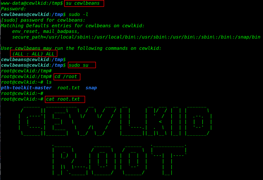 CewlKid Vulnhub Walkthrough