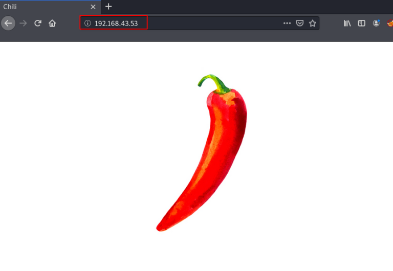 chili-vulnhub-walkthrough-3