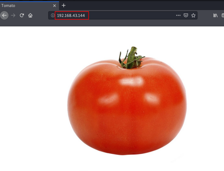 Tomato Vulnhub Walkthrough