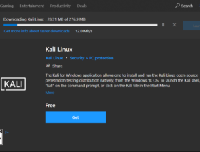 run kali linux as a windows subsystem