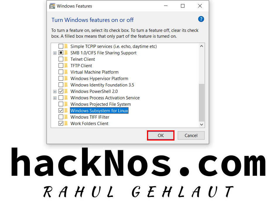 Run Kali Linux as a Windows Subsystem
