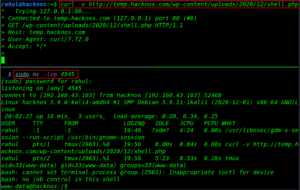 WordPress Shell Upload - Upload Shell WordPress - Reverse Shell WP