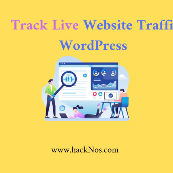 Track Live Traffic WordPress Website