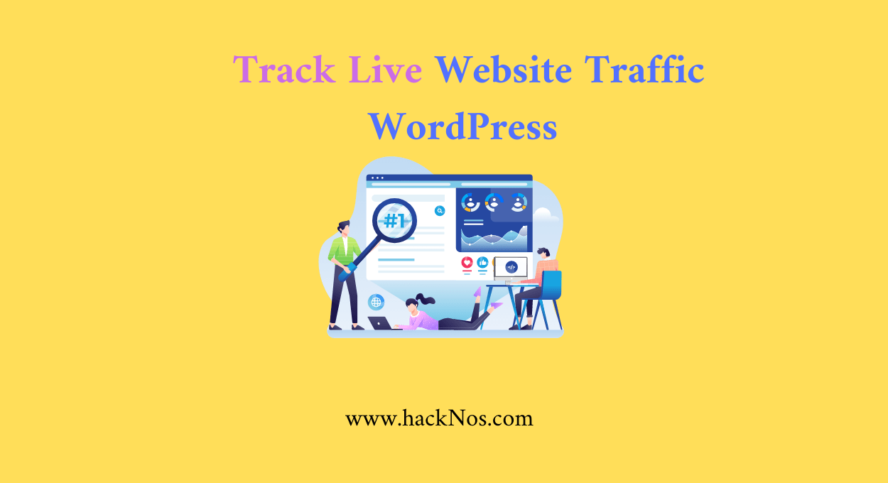 track live website traffic on wordpress